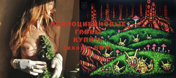 дурь Нефтегорск